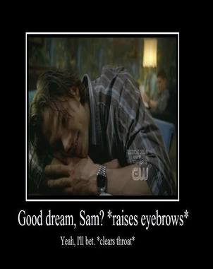 Good Dream Sammy?